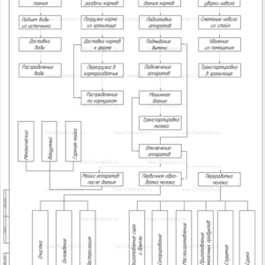 Схема технологической линии молочной фермы