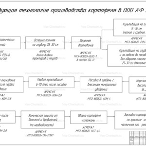 Технологический процесс производства картофеля